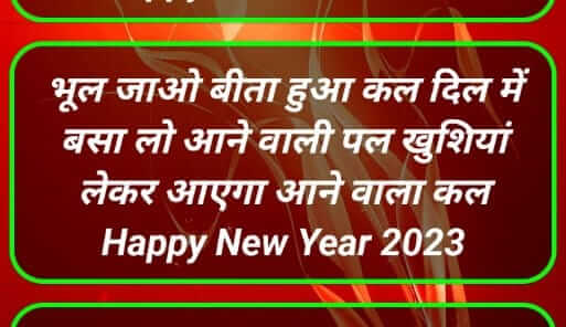 Hindi New Year Poetry for boy (सर्वश्रेष्ठ हिन्दी नववर्ष शायरी 2023