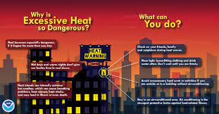 "The Ultimate Guide to Protecting Your Health During a Heat Warning