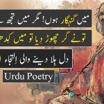islamic poetry in urdu