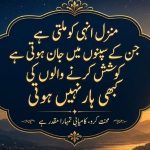 motivational shayari urdu